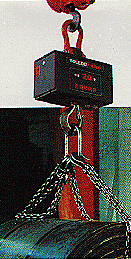 wireless crane sacle