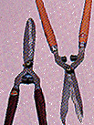 orchard tool
